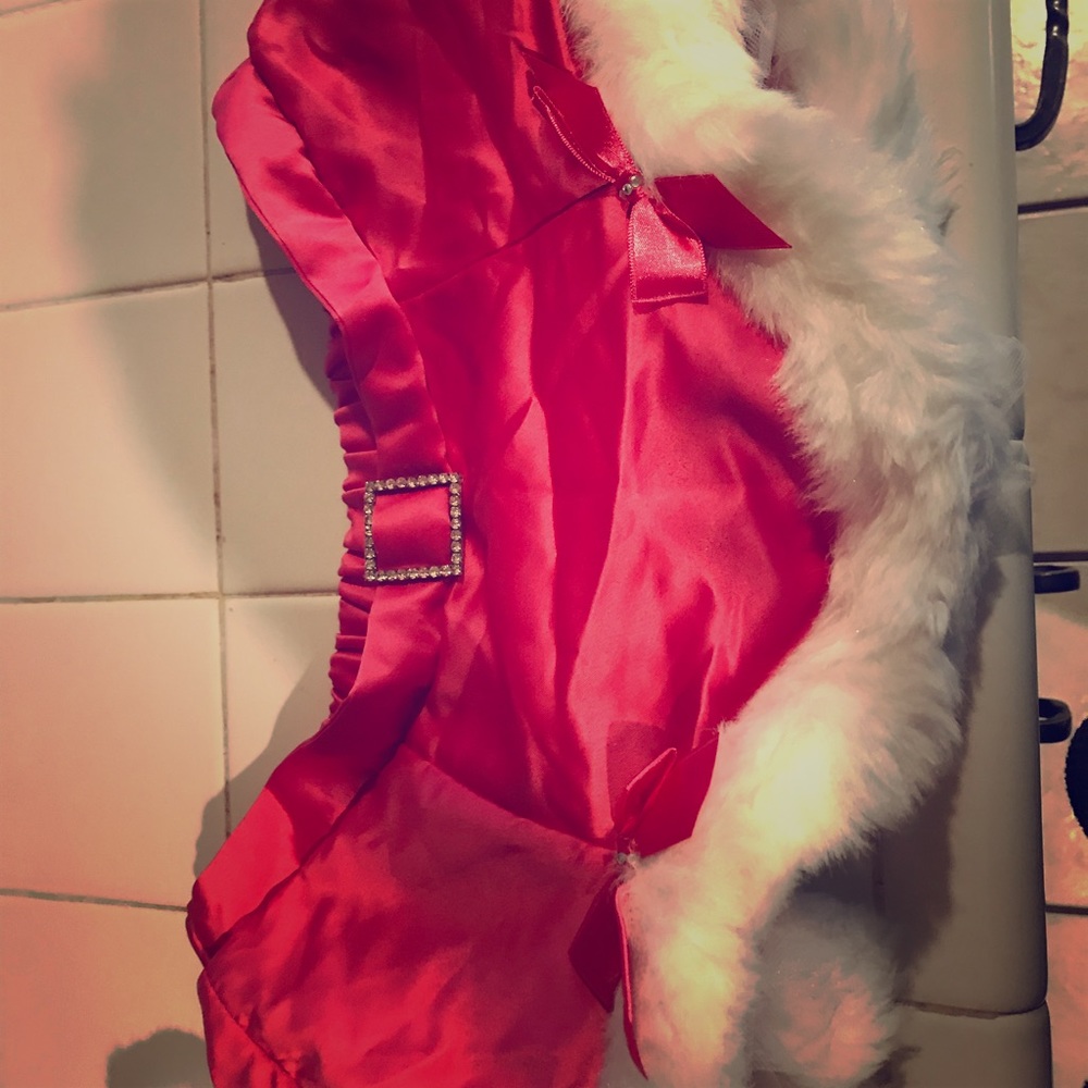 Victorious secret Santa hat and mini skirt